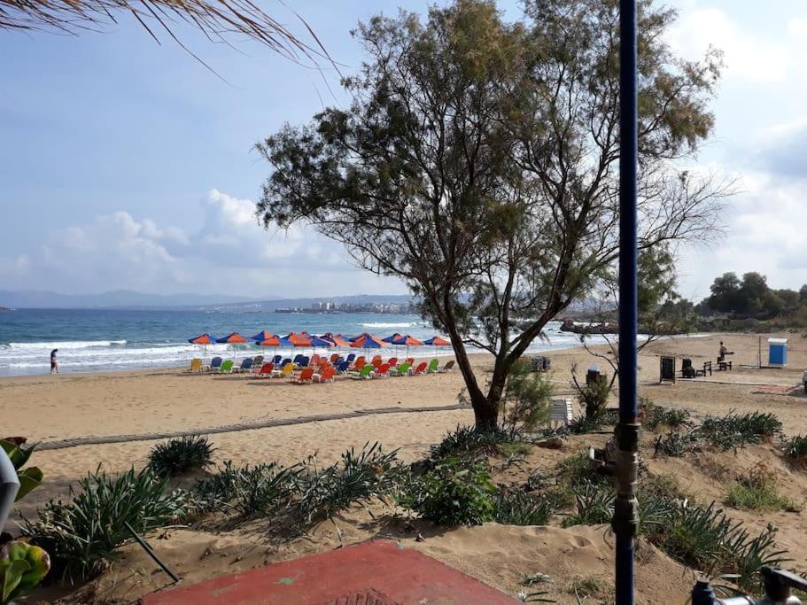 Cozy New Apartments Nea Chora Chania  Bagian luar foto