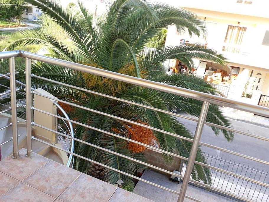 Cozy New Apartments Nea Chora Chania  Bagian luar foto
